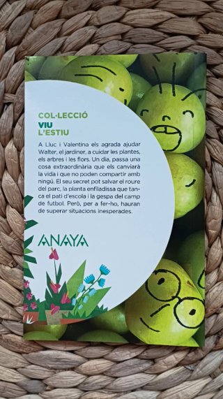 Vacaciones, 3 Primaria Viu l'estiu