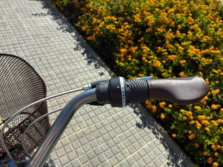 Bicicleta Paseo Talla L
