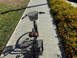 Bicicleta Paseo Talla L
