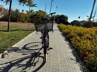 Bicicleta Paseo Talla L