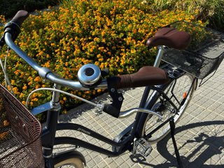 Bicicleta Paseo Talla L