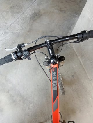 Bicicleta de Montaña
