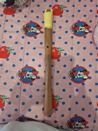 Flauta Hohner Madera/Plástico con Funda