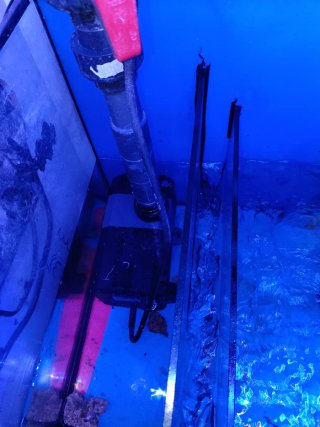 Acuario Marino Completo 700 litros (no negociable)