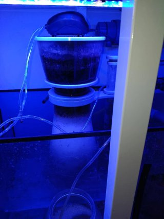 Acuario Marino Completo 700 litros (no negociable)