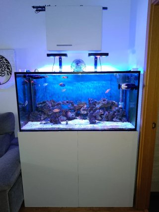 Acuario Marino Completo 700 litros (no negociable)