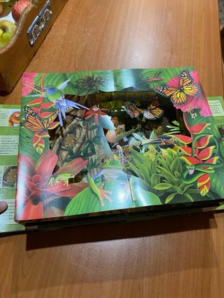 Selva 3D (Spanish Edition)