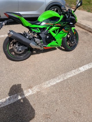 Kawasaki Ninja 125 - Casi Nueva