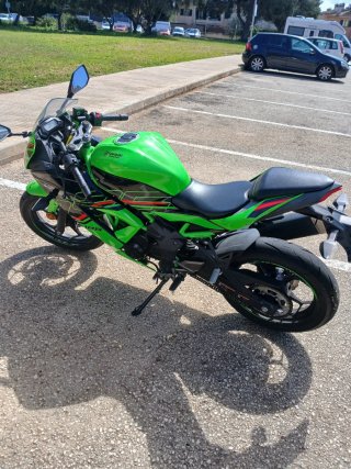 Kawasaki Ninja 125 - Casi Nueva