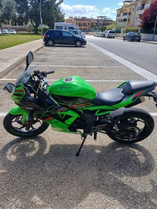 Kawasaki Ninja 125 - Casi Nueva