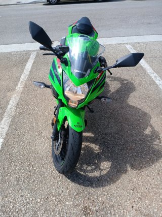 Kawasaki Ninja 125 - Casi Nueva
