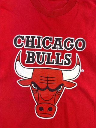 Vintage graphic T-Shirt Champion Chicago Bulls