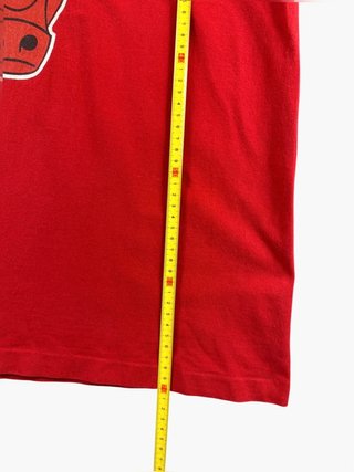 Vintage graphic T-Shirt Champion Chicago Bulls