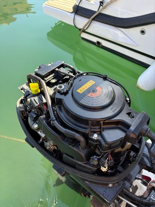 Motor Suzuki DF 15