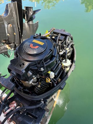 Motor Suzuki DF 15
