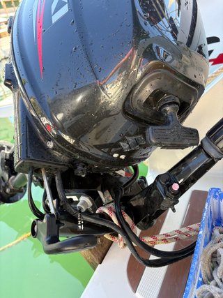 Motor Suzuki DF 15