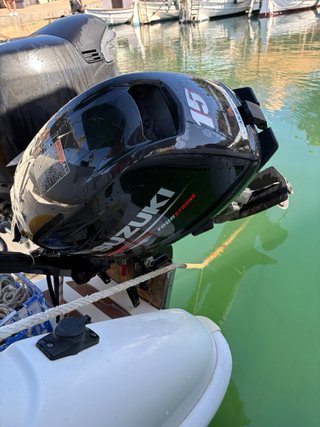 Motor Suzuki DF 15