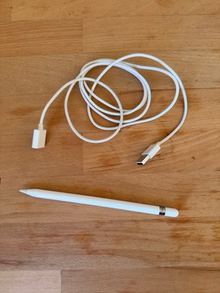 Apple Pencil 1ª Generación