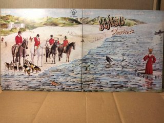 Disco vinile LP 33 giri - Genesis