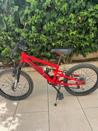 Bici niño MTB Wylder 20 Doble Suspensión niño