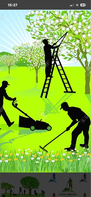 Trabajos de jardineria y palmeras en jeneral