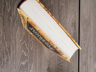Filomeno, a mi pesar – Gonzalo Torrente Ballester
