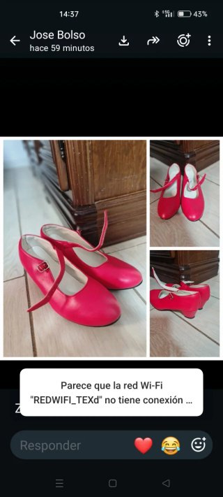Zapatos de flamenca rojos