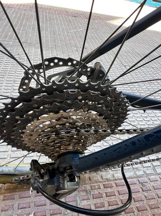 Bicicleta Orbea Alma H30