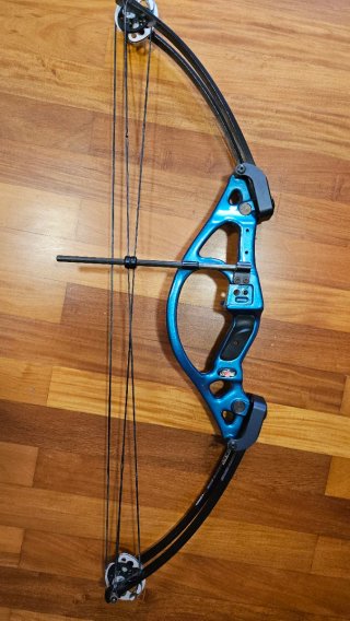 Arco de poleas / Compound Bow