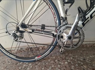Bicicleta de carretera Focus Cayo