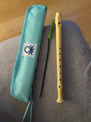 Flauta dulce Hohner con funda