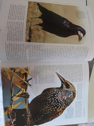 Enciclopedia de animales sin uso