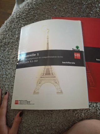 Passerelle 1, français A1-A2, Bachillerato Livr...