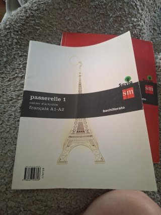 Passerelle 1, français A1-A2, Bachillerato Livr...