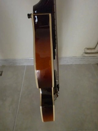 Bajo Hofner Violín