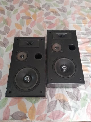 Altavoces Cat Berlín Negros