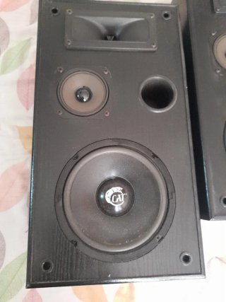 Altavoces Cat Berlín Negros