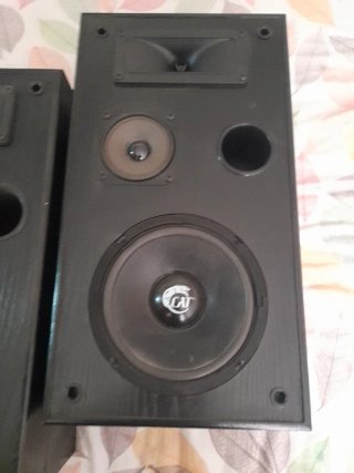 Altavoces Cat Berlín Negros