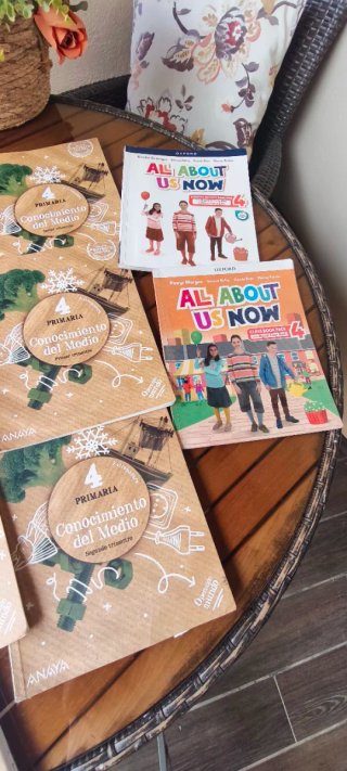 Lote libros 4 primaria Anaya operación Mundo