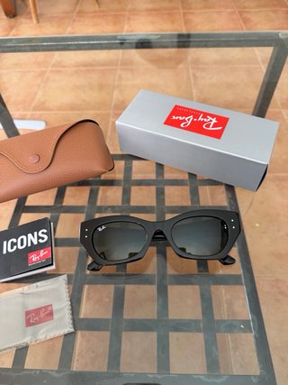 Gafas de sol Ray-Ban ZENA negras