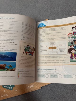 Lengua 4 Primaria : Operación Mundo