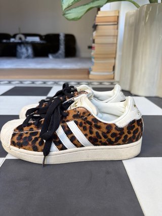 Adidas Superstar estampado leopardo