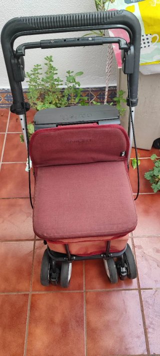 Carro andador