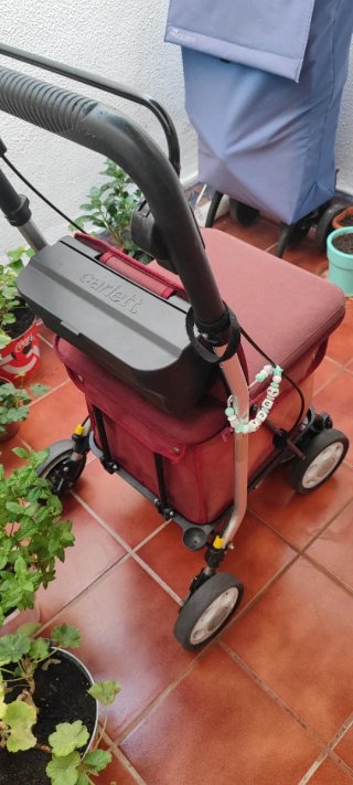 Carro andador