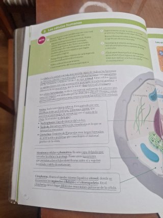 BIOLOGIA Y GEOLOGIA MADRID 3 ESO CONSTRUYENDO M...