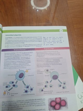 BIOLOGIA Y GEOLOGIA MADRID 3 ESO CONSTRUYENDO M...