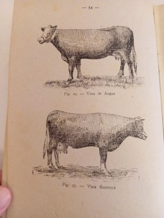 Libro antiguo: La Vaca Lechera
