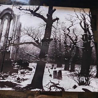 Burzum Order and Sigil 2 Vinili Colorati