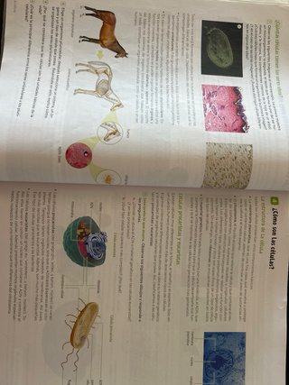 Biología y Geología. 1 Secundaria. Revuela. Pri...