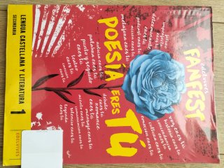 Lengua castellana y literatura 1 Secundaria